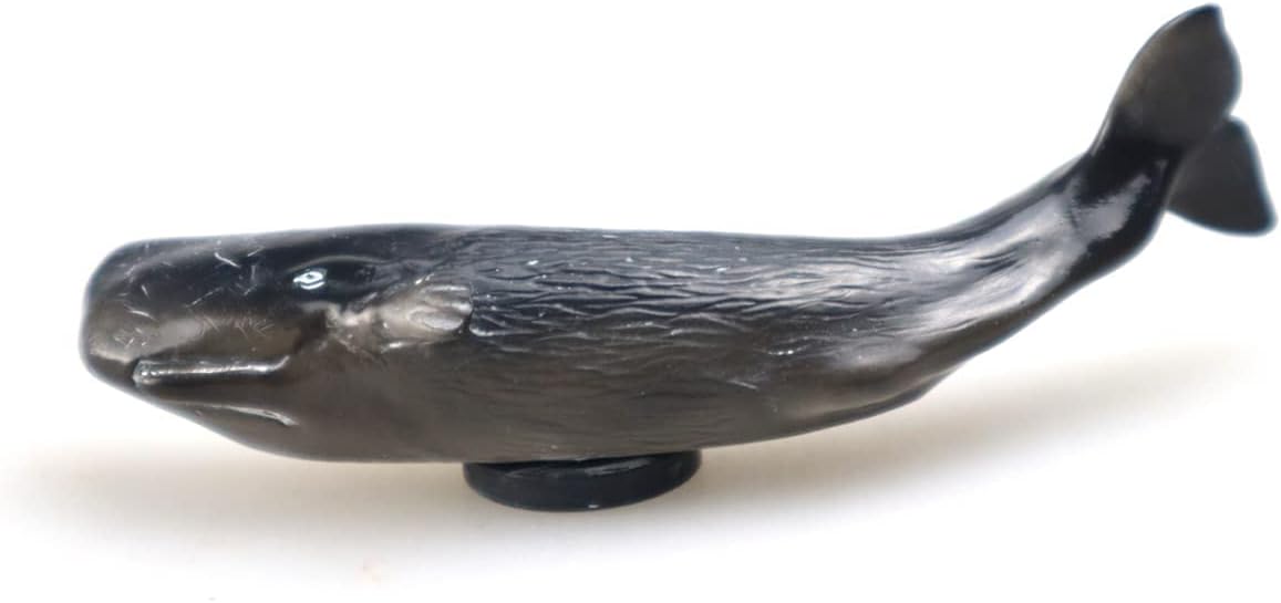 WitnyStore Tiny 4⅜" Sperm Whale Fridge Magnet - Miniature Hand Made Painted Resin 3D Sea Fish Marine Mammal Animals Decorative Magnets for Refrigerator Fridges Magnetic Board Décor Collectible Gifts image 4