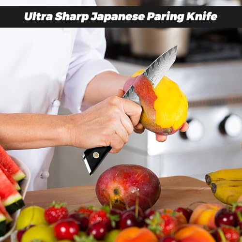 Image of SHAN ZU Damascus Paring Knife Fruit Knife 4 Inch Professional Kitchen Knives, Japanese Damascus High Carbon Steel 67-Layer Fruit Carving Knives with G10 Handle /Gift Box