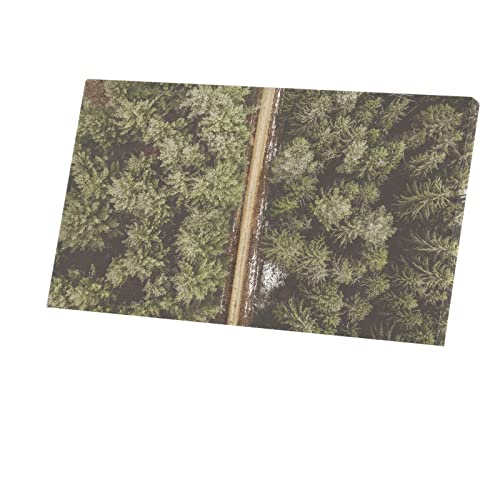Toile imprimée forêt de sapins vue aérienne tableau haut de gamme paysage d'hiver