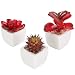 MyGift Set of 3 Miniature Red Artificial Succulent Plants in White Ceramic Pots