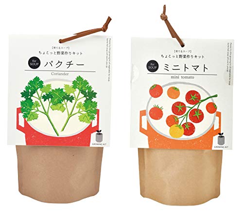 室内 プランター 野菜の人気商品 通販 価格比較 価格 Com