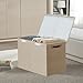 Bagnizer Large Toy Storage Box with Lids, Collapsible Sturdy Baby Storage Organizer Chest Bin Basket for Kids, Boys, Girls, Playroom, Nursery, Bedroom, Closet 25