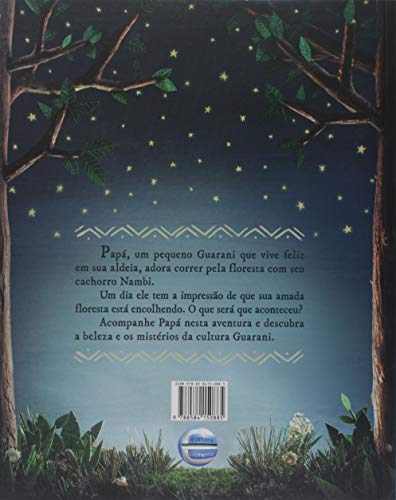 Rumos de um Pequeno Guarani