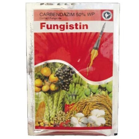 Fungistin - Carbandazim 50% WP Fungicide 1 Kg