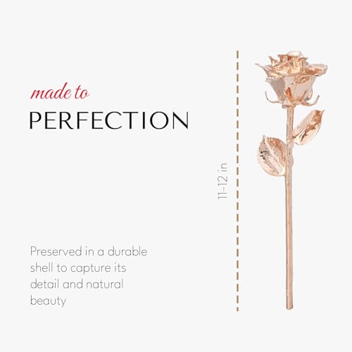 Image of Forever Rose Real Rose Dipped in Rose Gold, Bloom Box and Phantom Vase