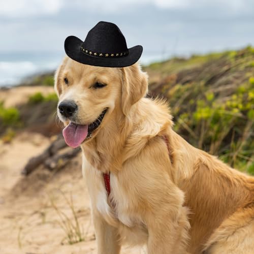 Awocan 01 Dog Cowboy Hat Cat Cowboy Hat Pet Cowboy Costume Mini Cowboy Hat thumb #1
