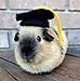Crochet Graduation Cap for Guinea Pigs, Bunnies, Hamsters, Chinchillas, and Other Small Pets/Small Handmade Accessories for Pets