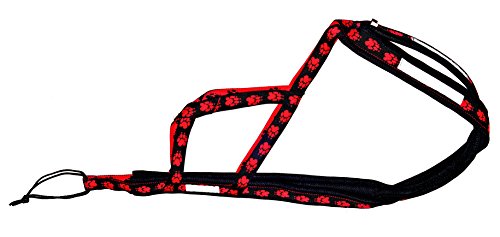 X-Back con stoviglie per Bike, Skijoring