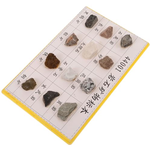 Colección de geología de 12 piezas con muestras de roca mineral para exámenes y laboratorio