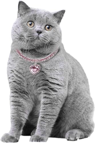 ZQTUMM _Ch̔L̎ | n[g^ybglbNX - qLALA^Lp̔LpANZT[AaAo^Cf[AybǧAybge[}ɂp[eB[ Bami