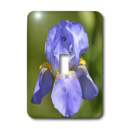 Interrupteur à baïonnette design iris de printemps fleur mural de salon chambre rustique - 4