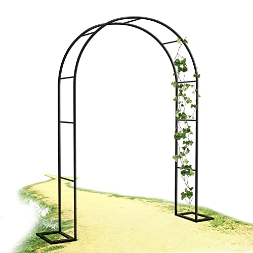 Structure robuste contre le vent : l'arche de jardin durable en acier noir