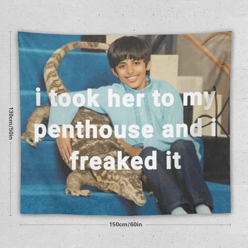 Dishilu I Took Her To My Penthouse Tapestry Art Wall Hanging Funny Meme Tapestries For Bedroom Living Room Home Decor 50 Inchx60 Inch thumb #1