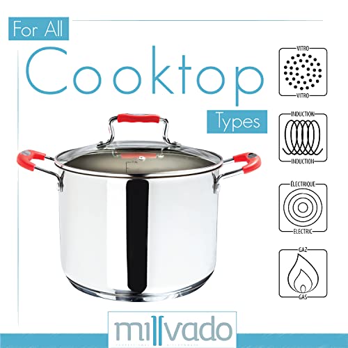 Millvado Stock Pot, Large Stainless Steel 12.5 Quart Stockpot, Large Cooking Pot, Clear Glass Lid And Measurement Markings, Steam Hole, Induction, Gas, Electric Compatible Big Boiling Pot #TOP2