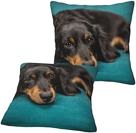 Pillow Covers Cases Black Long-Haired Dachshund Dog,Double-Sided Pattern Square Pillow Covers Sofa Cushion Covers 18"X18" Inch for Living Room (2pcs)