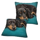 Pillow Covers Cases Black Long-Haired Dachshund Dog,Double-Sided Pattern Square Pillow Covers Sofa C
