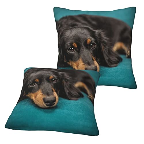 Pillow Covers Cases Black Long-Haired Dachshund Dog,Double-Sided Pattern Square Pillow Covers Sofa Cushion Covers 18"X18" Inch For Living Room (2Pcs) #TOP4