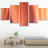 SIGNWIN 5 Panel Canvas Wall Art Abstract Aerial Contemporary Mixed Media Modern Art Multicolor Texture for Home Decorations Ready to Hang - 60