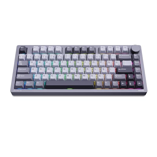 Evnıa SPK8618 Mekanik RGB 81 Tuş USB/Bluetooth/2.4G Kablosuz Oyuncu Klavyesi Gri
