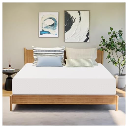 GAESTE 10 Inch King Gel Memory Foam Mattress