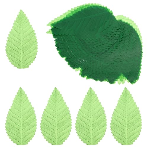 ARTIBETTER 200 i aHptFCN[t HiɂȃAȐlHt iMhgv[g̔tp