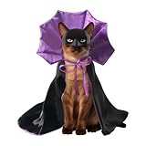 Zahoken Disfraces De Gato para Halloween - Disfraz Mascotas Halloween Fiesta Cosplay | Capa Accesorios Transpirables Cumpleaños Juego Interior Exterior Celebración