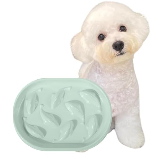 MSBC Hh~ M L ybg{E H ybgH 얞h~ (ȉ~iO[j)