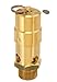 Control Devices SW10-0A100 SW Series Brass Soft Seat ASME Safety Valve, 100 psi Set Pressure, 1 Male NPT