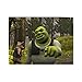KIILAS Puzzle Shrek Fore-Ver Af-Ter, 500 pezzi, 20,5 ° x 15,1 ° C, spesso, pezzi robusti, attività impegnative in famiglia, ottima idea regalo