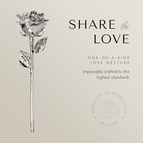 Forever-Rose-Real-Platinum-Rose-Genuine-One-of-a-Kind-Rose-Hand-Dipped-in-Platinum-Roses-to-Last-a-Lifetime