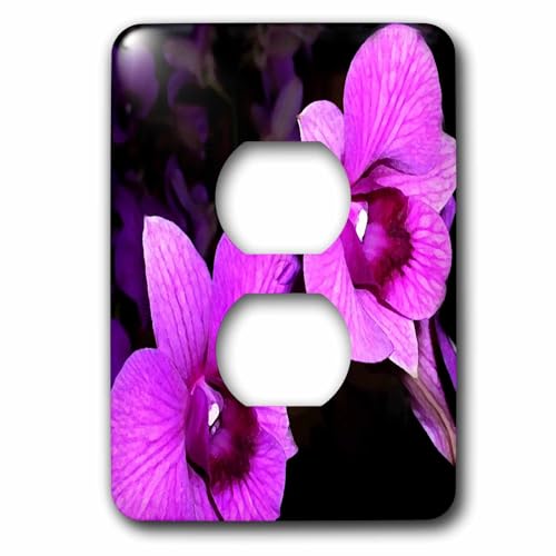 Couvercle de prise 2 orchidées 3dRose lsp_3553_6 plaque décorative interrupteur
