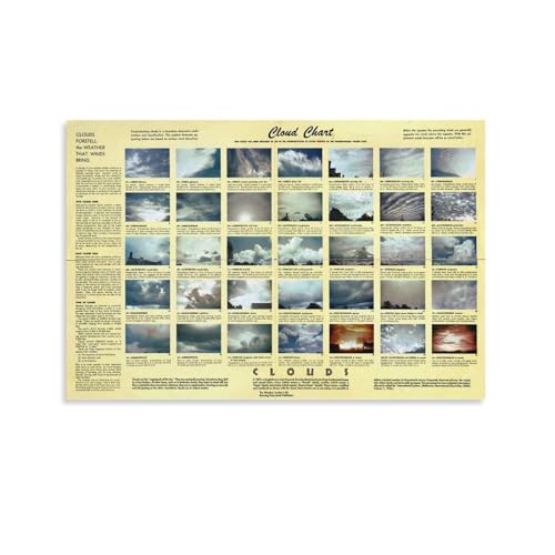 Poster Cloud Types guide identification nuages affiche météorologique éducative 16x24inch