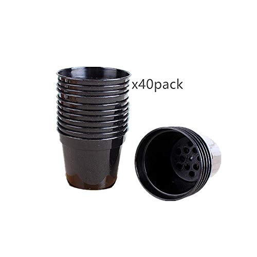 Dodxiaobeul Round Succulents Plant Pots Drainage Hole, Set Of 40 Mini Plant Pots 2.5" Wx2.25 H,Perfect For Plant Seeds,Seedling Nursery Transplanting Planter Container(Black) #TOP3