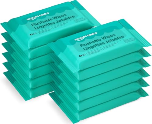 Amazon Basics Flushable Adult Toilet Wipes, Fragrance Free, 504 Count (12 Packs of 42), Packaging...