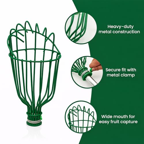 Image of Urban Plant Mango Plucker | Metal Fruit Picker Head | Green | Without Sponge | Attaches to Any 1-Inch Pole | Rust-Proof Powder-Coated Iron (Pole Not Included)