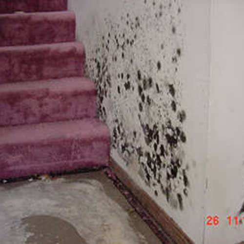 Dr. Eric Dorninger: Is Your Building Making You Sick?