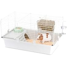 Ferplast CAVIE 80 Guinea Pig Cage, Safety Lock System, Accessories Included, Grey Painted Metal and Plastic, 77 x 48 x H 42 cm, White