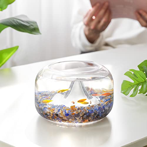 Image of T4U Crystal Chips Tumbled Polished Natural Agate Gravel Stones 1LB - Decorative Pebbles Bulk, Mini Polished Rocks Pieces for Crafts, Vases Filler, Succulent Plants, Aquarium Gravel Rocks