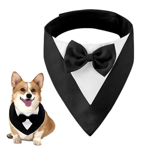 Cravatta per Animali Domestici, Collare a Bandana da Matrimonio per Cani di Taglia Media, Costume da Cane per Matrimoni, fidanzamenti e Compleanni (Collo: 35-45 cm, Nero)