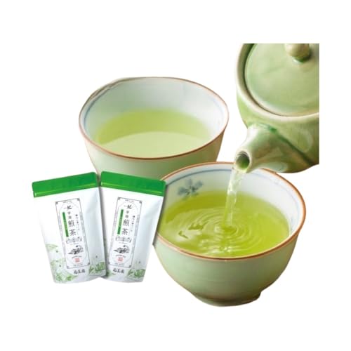 宇治・煎茶ティーバッグ 5g×20個×2袋[お茶 茶 煎茶 緑茶 かぶせ茶 飲料 ティーバッグ ティーパック 宇治茶 日本茶 加工食品]
