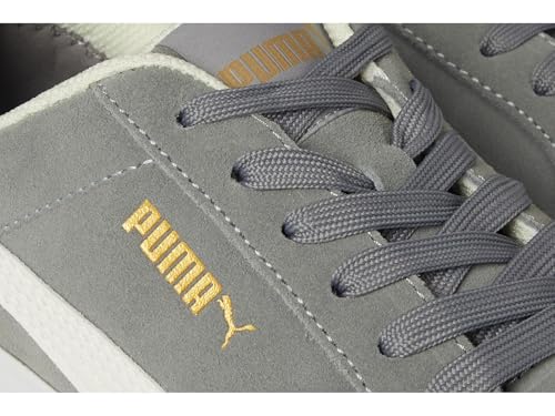 Image of Puma Mens Iconic Suede Low ASTM Sd