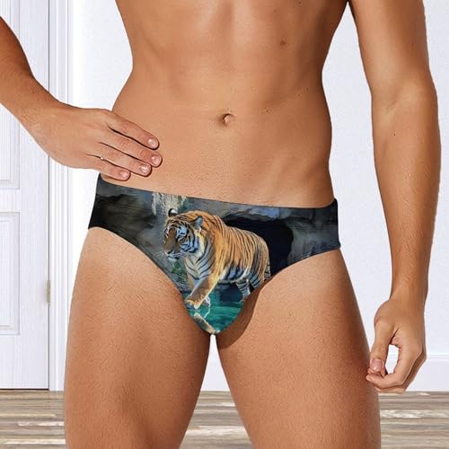A Walking Tiger Men's Swim Brief Sexy Bikini Swimwear Swimsuit Trunks Bathing Suits4