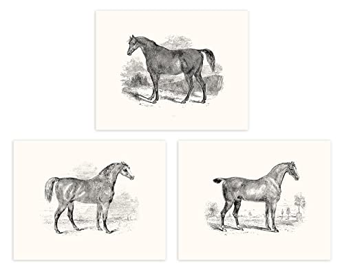 Art western cheval vintage d'exception pour une décoration murale raffinée de style retro
