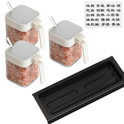 Frascos de vidrio para condimentos - Juego de 3 frascos de vidrio con tapas y cucharas | Masala Dabba | Botes de especias de vidrio transparente con bandeja para sal, azúcar y pimienta