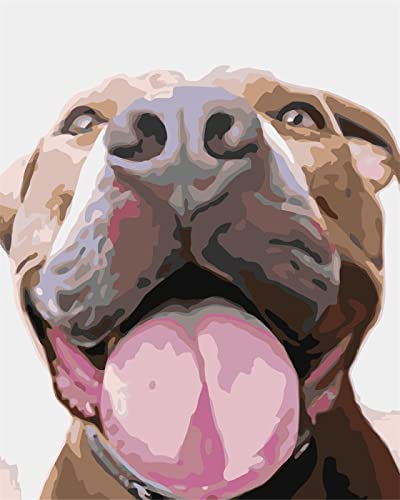Kit de diamantes artesanales de perro para regalar en cumpleaños y aniversarios