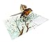 Amazing Birds - 3D Pop Up Greeting Card For All Occasions - Love, Birthday, Christmas, Goodluck, Congrats, Get Well - Blank Inside for Personalized - Thick Envelope, Fold Flat (American Robin)