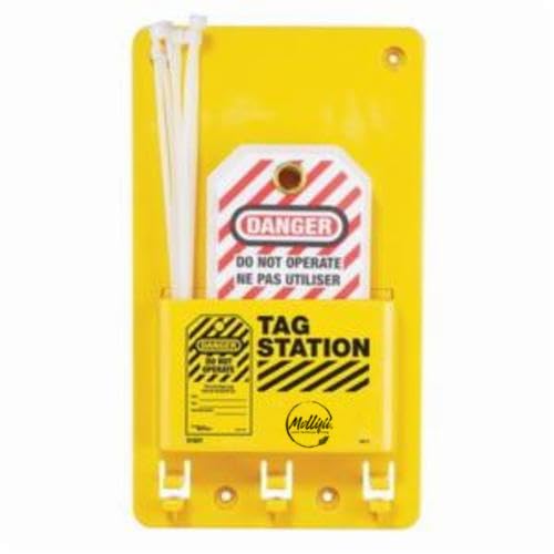 Compact Tag Station, Filled, 12 Pieces, 3 Padlocks, 7-3/4 in H x 5-3/4 in W x 1-1/2 in D, Wall Mount, Language: English