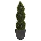 Nearly Natural 5ft. Double Pond Cypress Spiral Topiary Artificial Tree in Black Wash Planter UV Resistant (Indoor/Outdoor)