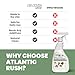 Atlantic Rush Small Animal Cage Cleaner Spray- 24oz Bottle Cage and Crate Cleaner for Guinea Pig, Hamster, Rabbit, Ferret, & Birds- Cage Cleaning Supplies Odor Eliminator