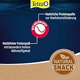TetraDelica Bloodworms, Naturfutter für Zierfische - 4